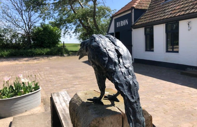 Unterkunft 0106117 - Ferienhaus Texel - Vakantiehuisje in Oosterend