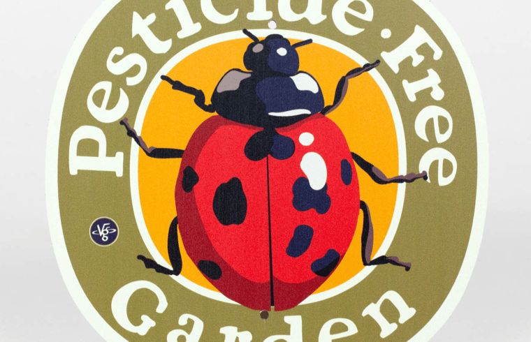 Unterkunft 0106117 - Ferienhaus Texel - Vakantiehuisje in Oosterend