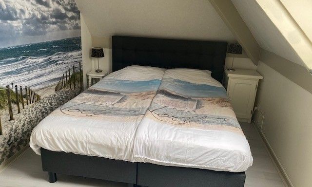 Guest house 0106119 - Holiday property Texel - de Jutter met zonnige achtertuin