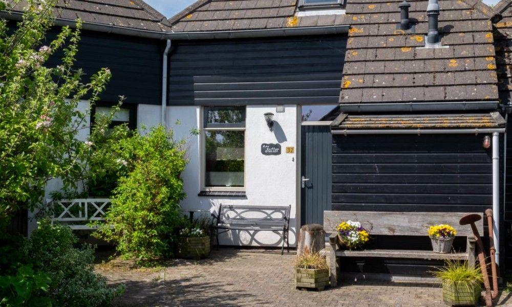 Guest house 0106119 - Holiday property Texel - de Jutter met zonnige achtertuin