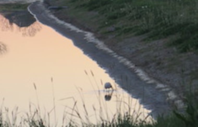 Sonnenuntergang an einem Teich in der Naehe eines Ferienhauses in Oosterend Texel.
