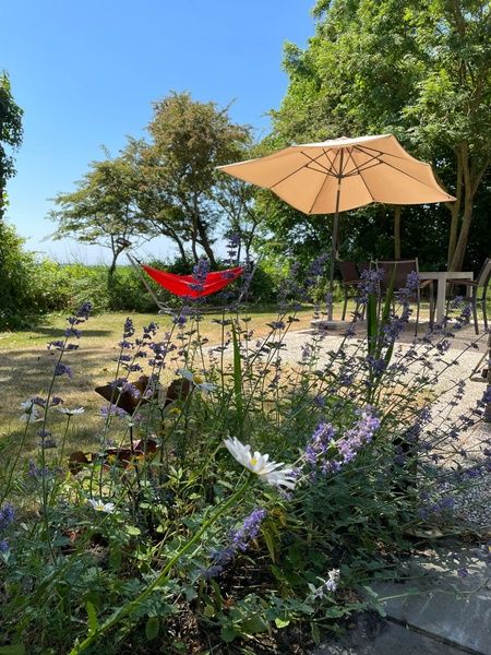 Verblijf 010631 - Vakantiewoning Texel - Type II - nr. 47 Koolmees