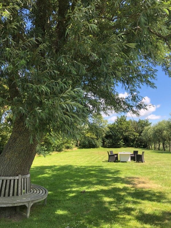 Schaduwrijke tuin bij 't Kaaps Huussie vakantiehuis in Oosterend, Texel met zitgelegenheid onder een boom.