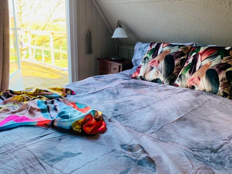 Verblijf 010692 - Vakantiewoning Texel - 't Kaaps Huussie