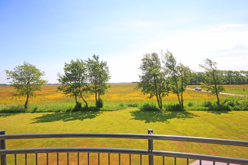 Atemberaubende Aussicht auf die Natur vom Apartment Bos en Duin 40, De Dennen, Texel mit gruenen Feldern.