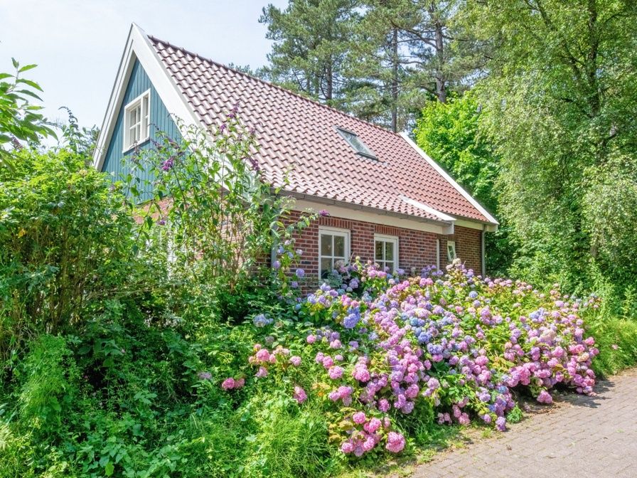 Guest house 0113158 - Holiday property Texel - 't Mienthuis - De Prins