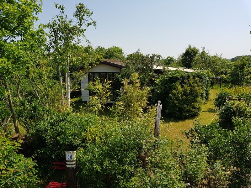 Ferienhaus im Ferienpark De Bremakker, Texel, umgeben von Naturschoenheiten und Stille.