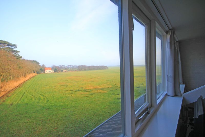 Uitzicht op de groene omgeving vanuit Appartement Bos en Duin 36, De Dennen, Texel.