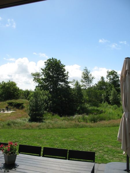 Geniessen Sie die gruene Aussicht im Vijverhof 6-Personen-Ferienhaus in De Dennen, Texel, umgeben von ueppiger Natur und Ruhe.