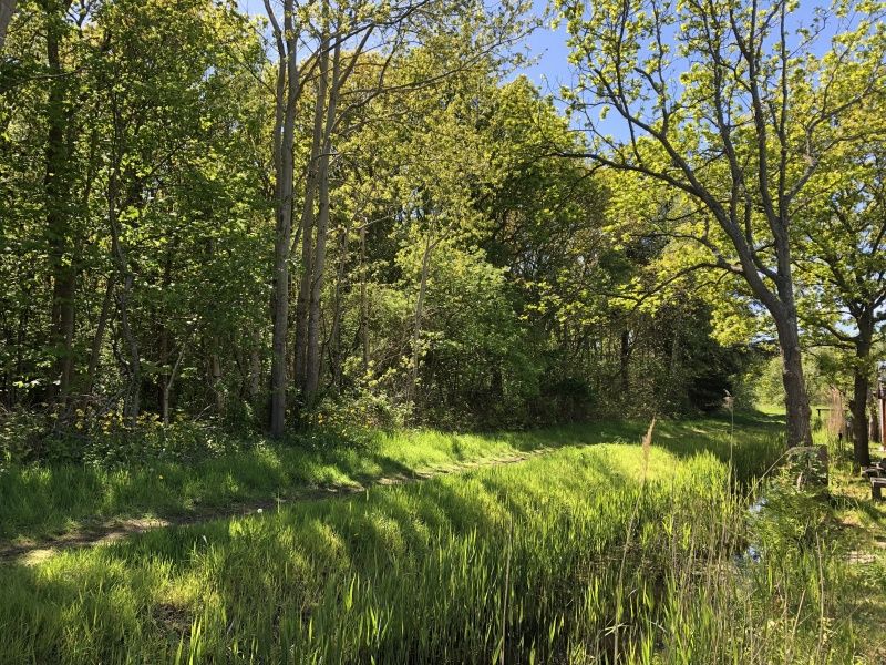 Verblijf 0113246 - Vakantiewoning Texel - Vakantiepark de Bremakker - Bosveld 103