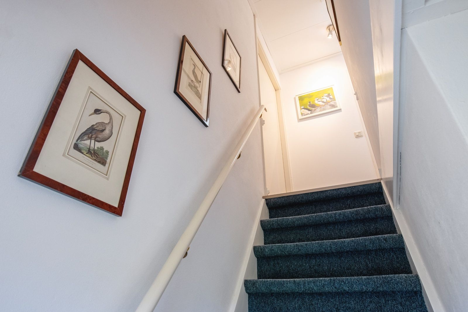 Unterkunft 0113304 - Ferienhaus Texel - Wijde Blik