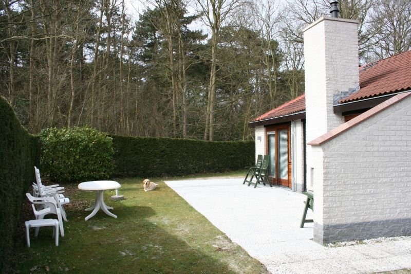 Ruim terras bij Vakantiehuis Gortersmient 354 in De Dennen, Texel met comfortabele zitgelegenheid.