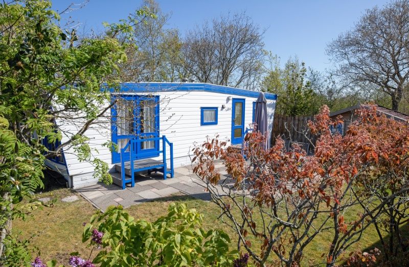 Aussenansicht von Vakantiepark de Bremakker Weideveld 61, Texel, Ferienhaus in De Dennen, umgeben von Gruen.