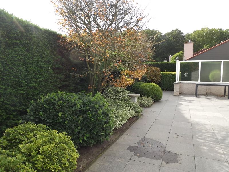 Gruene Umgebung im Ferienhaus Gortersmient 220, De Dennen, Texel.