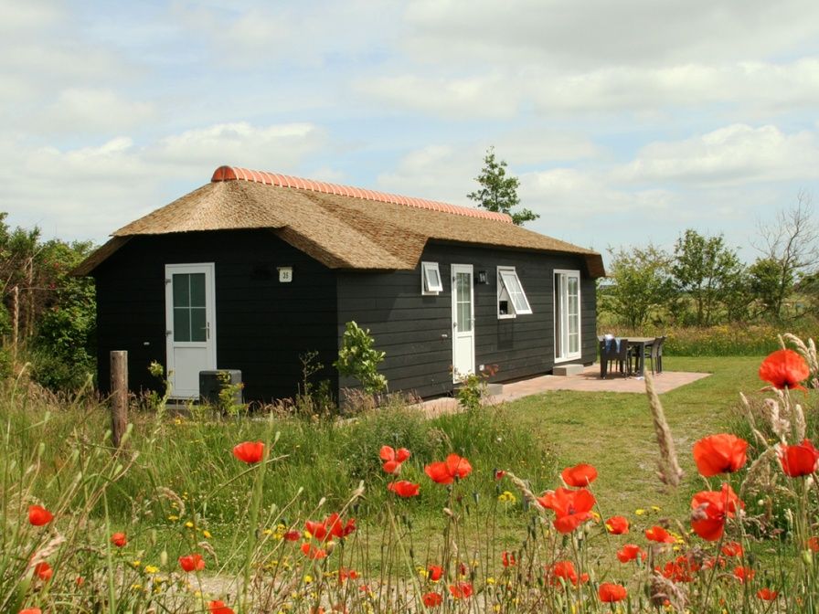 Guest house 0113348 - Holiday property Texel - Bremakker Akkerveld Boerderijchalet