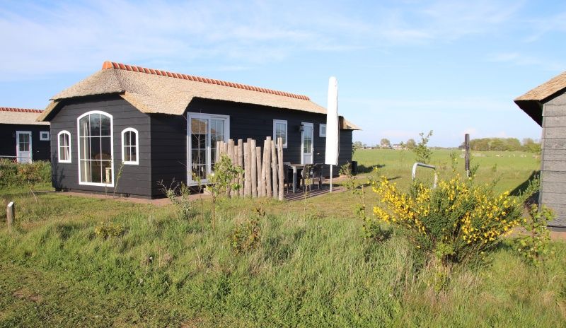 Guest house 0113348 - Holiday property Texel - Bremakker Akkerveld Boerderijchalet