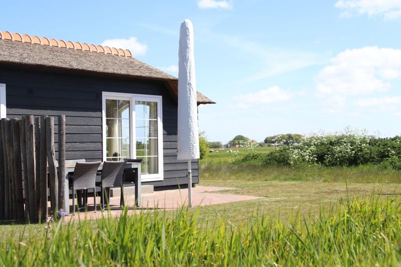 Guest house 0113348 - Holiday property Texel - Bremakker Akkerveld Boerderijchalet
