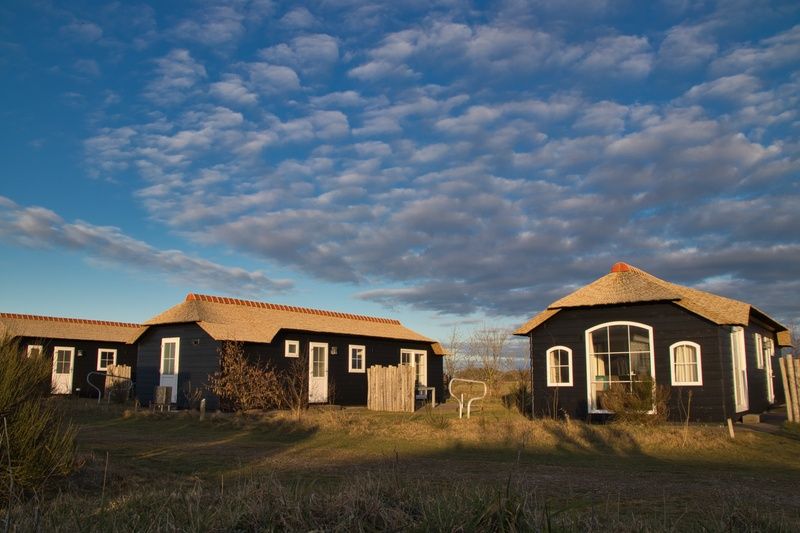 Guest house 0113348 - Holiday property Texel - Bremakker Akkerveld Boerderijchalet