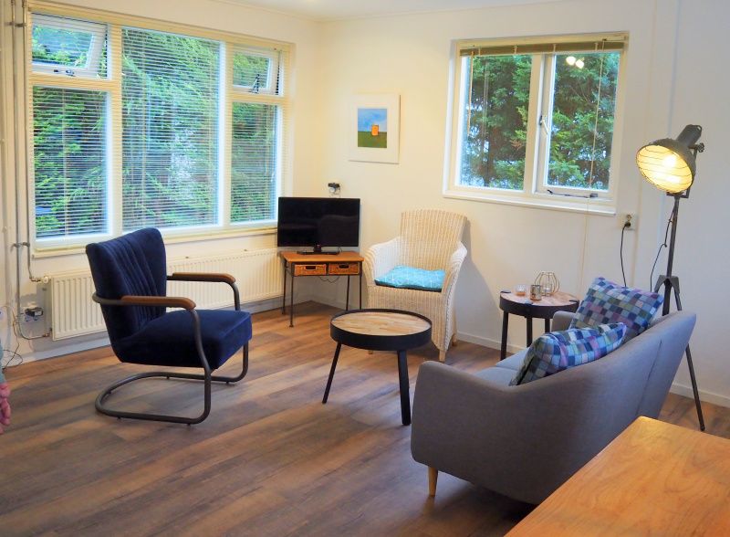Helles Wohnzimmer im Ferienhaus Duinpieper, De Dennen, Texel mit moderner Einrichtung.