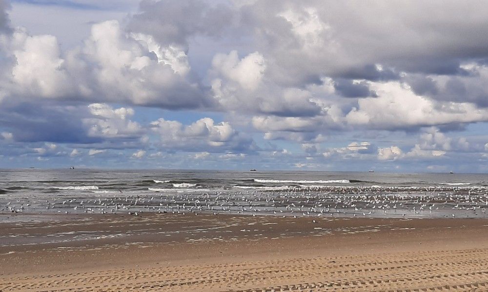 Verblijf 011702 - Vakantiewoning Texel - Villata, Villapark Residentie Texel