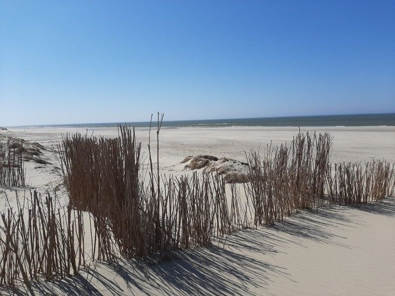 Verblijf 011702 - Vakantiewoning Texel - Villata, Villapark Residentie Texel