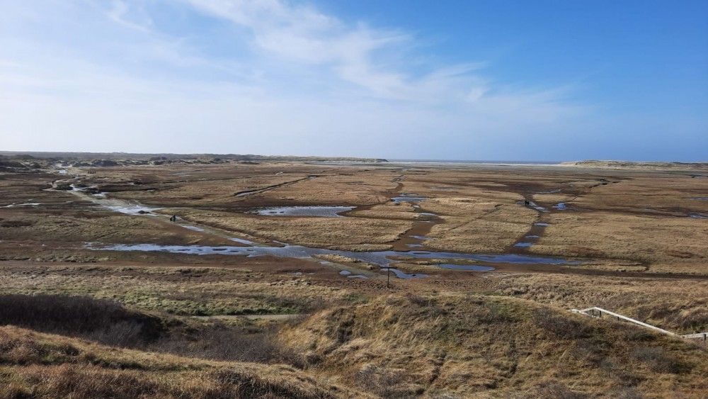 Verblijf 011702 - Vakantiewoning Texel - Villata, Villapark Residentie Texel