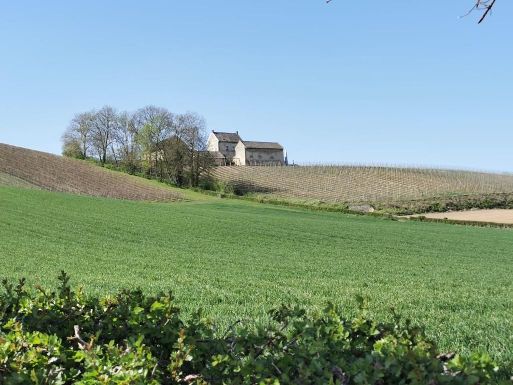 Verblijf 013936 - Bed and breakfast Zuid Limburg - Bed en Breakfast Hof van Wolder