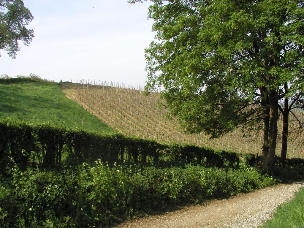 Verblijf 013936 - Bed and breakfast Zuid Limburg - Bed en Breakfast Hof van Wolder