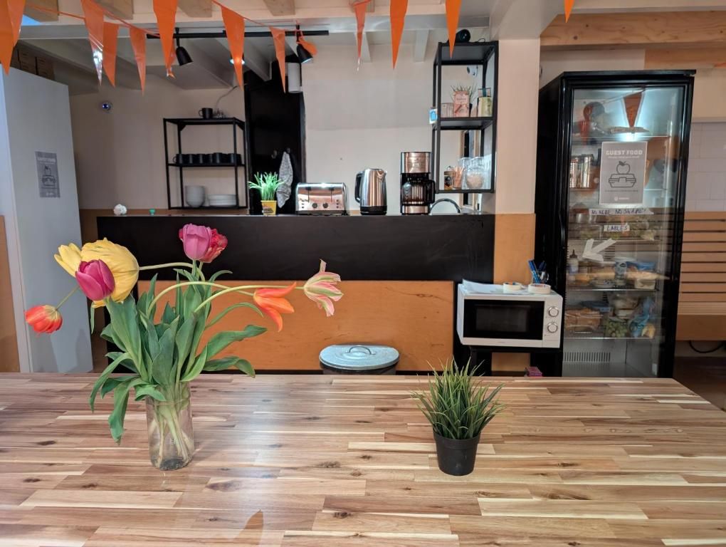 Unterkunft 0151123 - Appartement Amsterdam eo - Amsterdam Hostel Sarphati