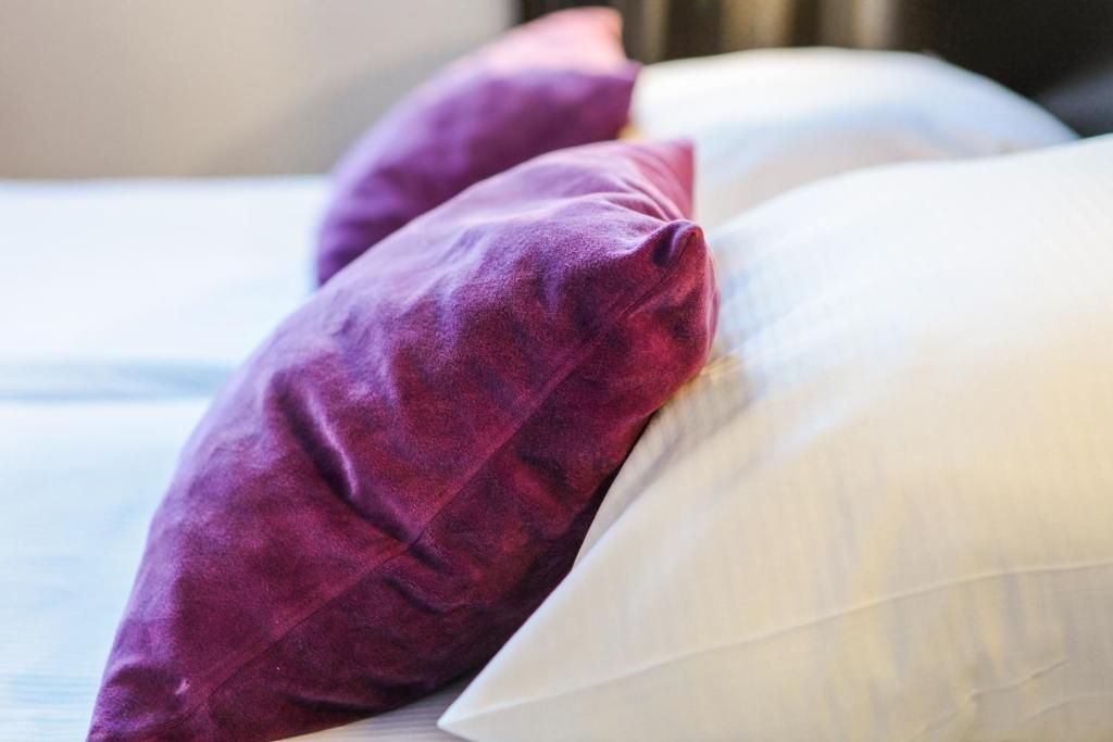 Guest house 015132 - Apartment Amsterdam eo - Hotel De Looier