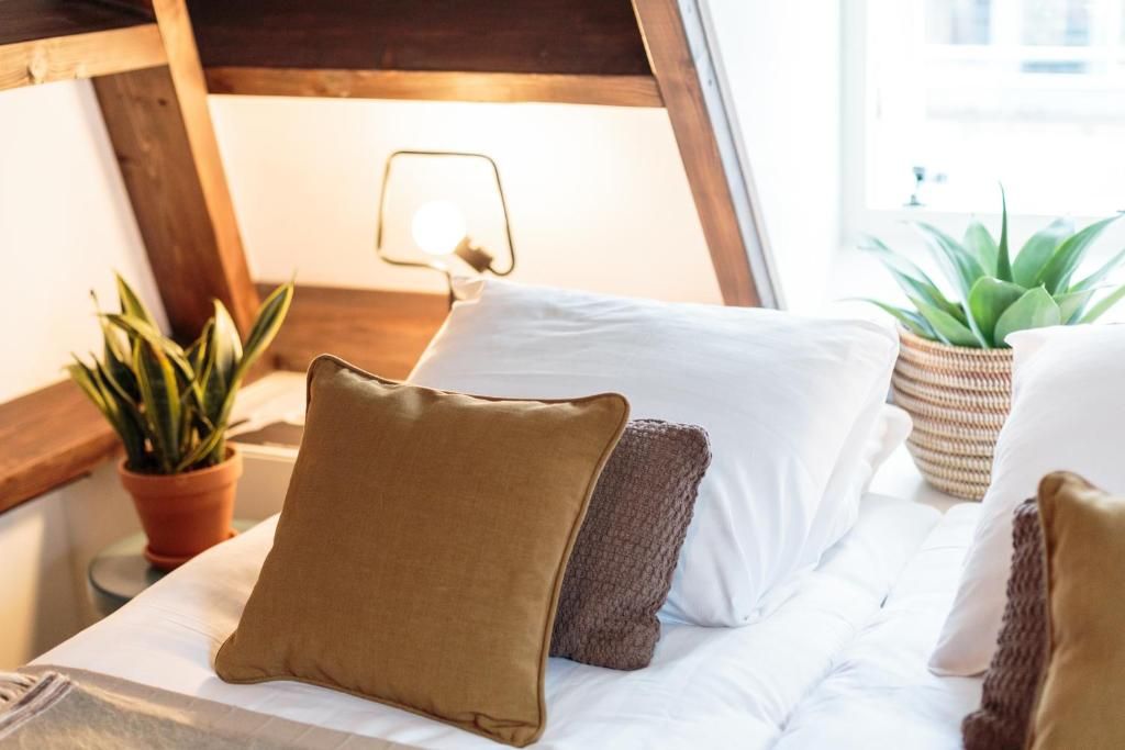 Guest house 0151539 - Apartment Amsterdam eo - Hotel Dwars