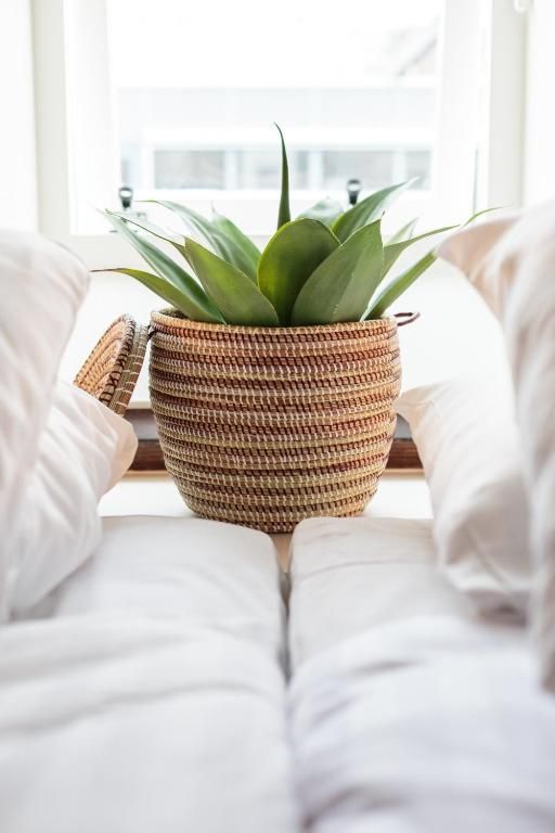 Guest house 0151539 - Apartment Amsterdam eo - Hotel Dwars