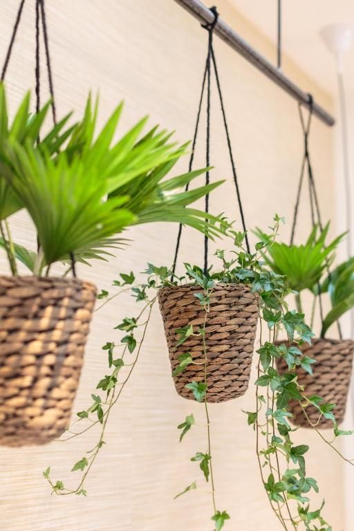 Guest house 0151539 - Apartment Amsterdam eo - Hotel Dwars