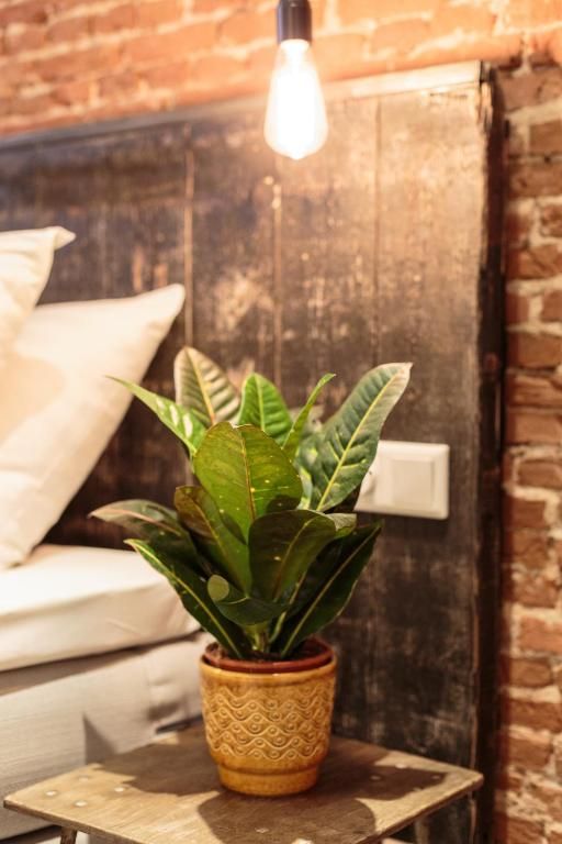 Guest house 0151539 - Apartment Amsterdam eo - Hotel Dwars