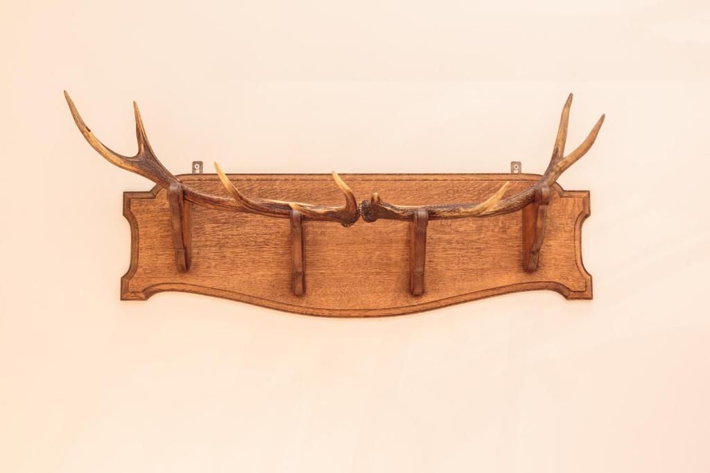 Guest house 0151539 - Apartment Amsterdam eo - Hotel Dwars