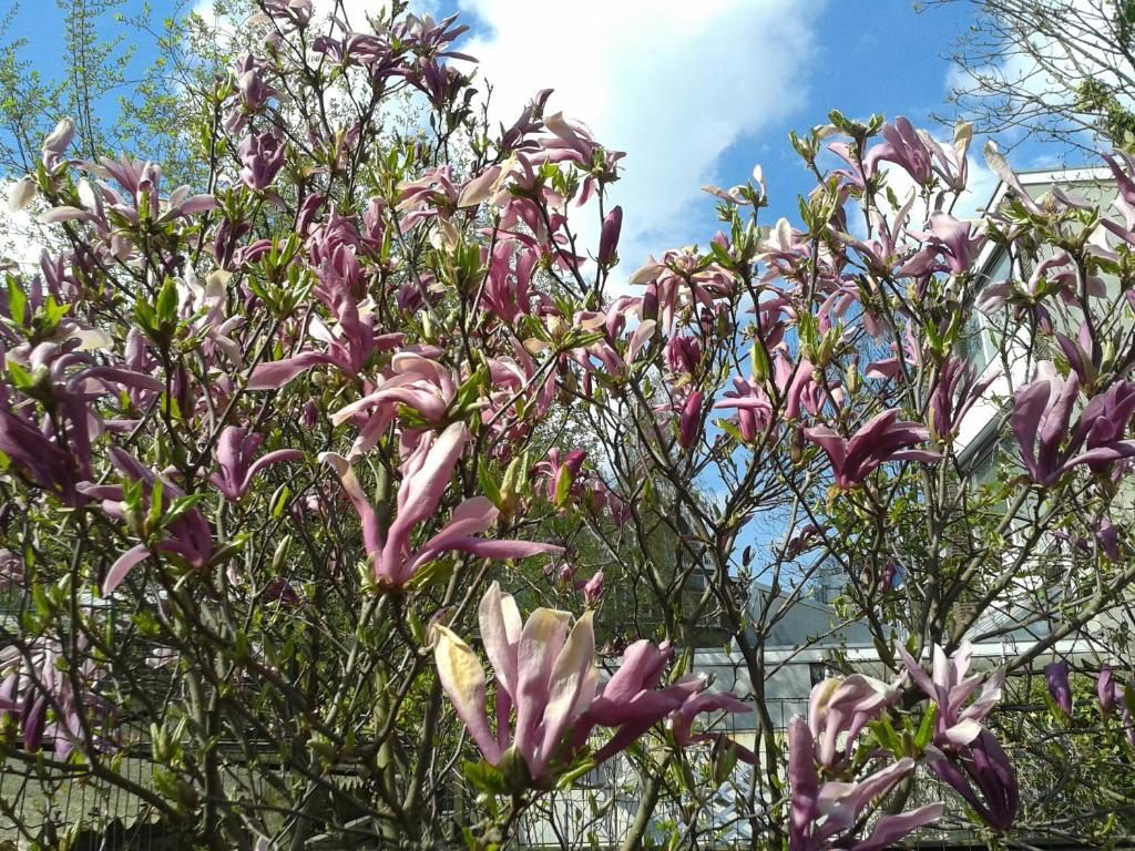 Foto 15