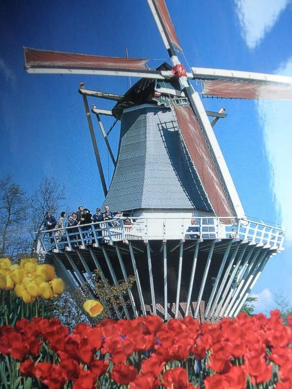 Traditionelle Windmuehle bei Hotel Orion, Ferienwohnung in Rotterdam, Suedholland.