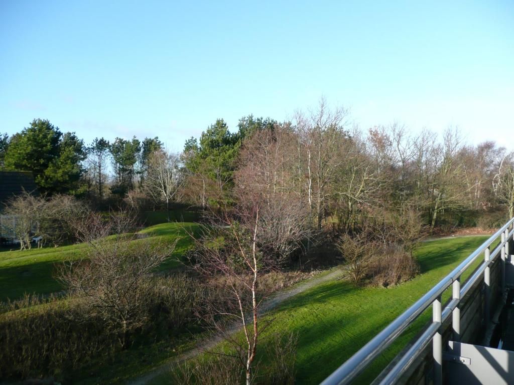 Blick auf die gruene Landschaft vom Kaapshoff 32, Hollum, Ameland.