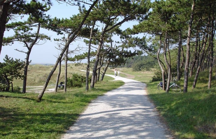 Unterkunft 031027 - Ferienhaus Terschelling - Huisje in Oosterend
