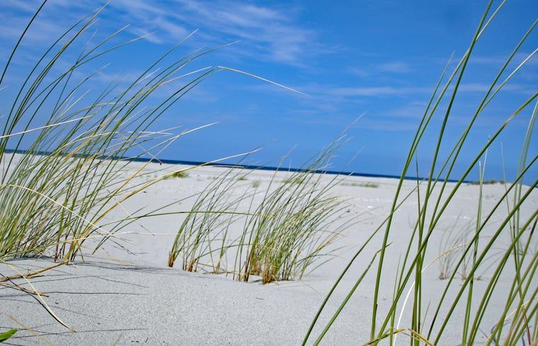 Unterkunft 031027 - Ferienhaus Terschelling - Huisje in Oosterend