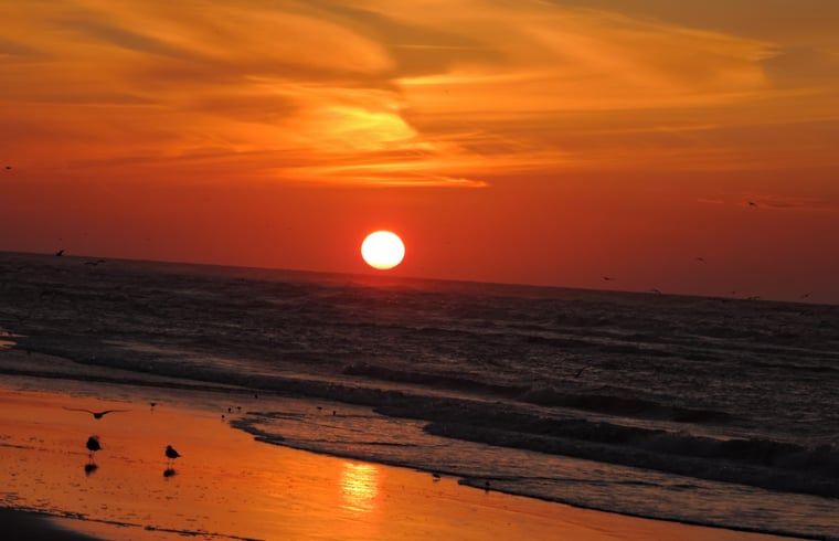 Unterkunft 031027 - Ferienhaus Terschelling - Huisje in Oosterend