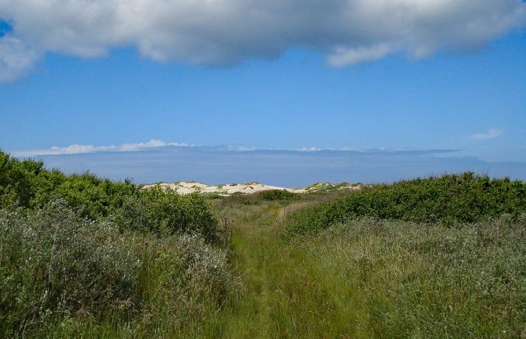 Unterkunft 031027 - Ferienhaus Terschelling - Huisje in Oosterend