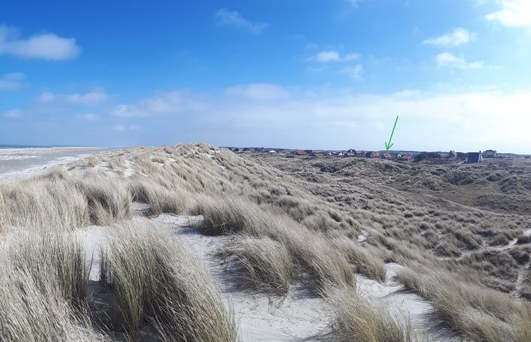 Verblijf 031302 - Vakantiewoning Terschelling - Vakantiehuisje in West aan Zee