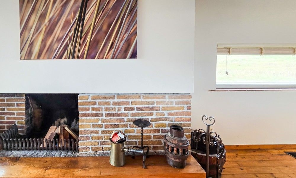 Unterkunft 031428 - Ferienhaus Terschelling - Helmhoeve