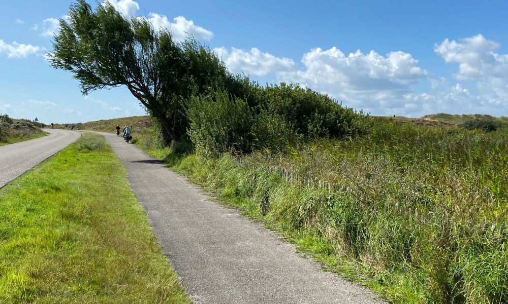 Fietspad in de natuur bij De Clochard nr 37, Midsland Noord, Terschelling.
