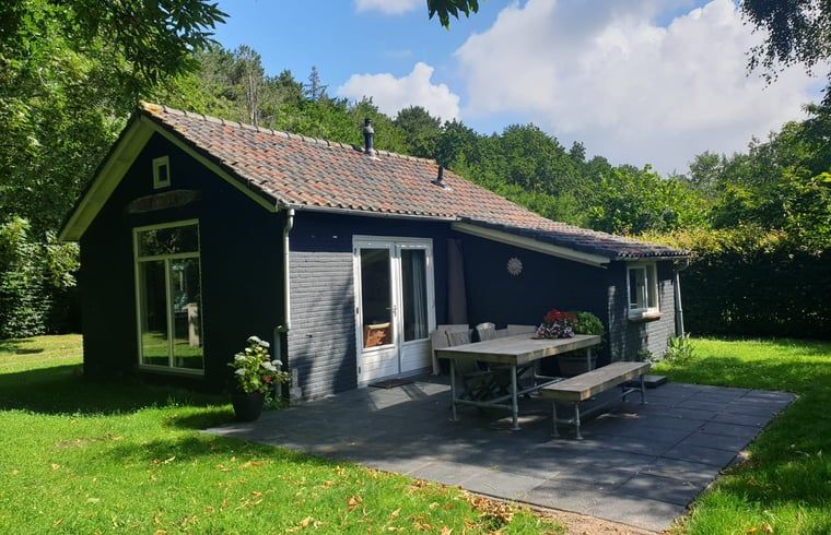 Unterkunft 031513 - Ferienhaus Terschelling - Vakantiehuis in Midsland Noord