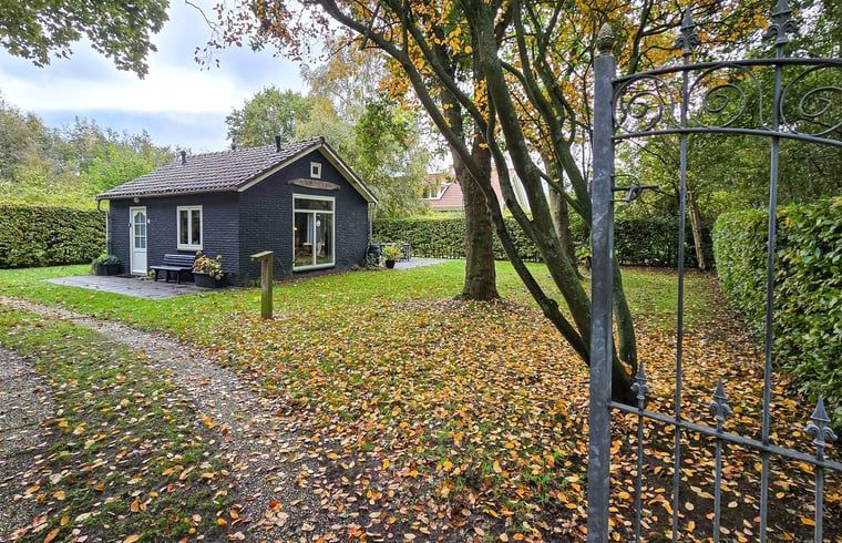 Unterkunft 031513 - Ferienhaus Terschelling - Vakantiehuis in Midsland Noord