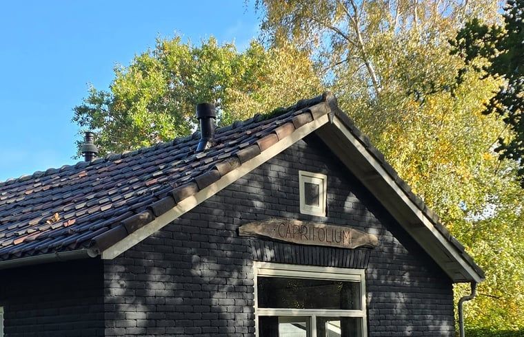 Unterkunft 031513 - Ferienhaus Terschelling - Vakantiehuis in Midsland Noord