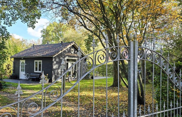 Unterkunft 031513 - Ferienhaus Terschelling - Vakantiehuis in Midsland Noord