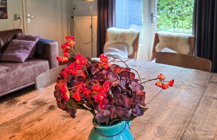 Unterkunft 031513 - Ferienhaus Terschelling - Vakantiehuis in Midsland Noord